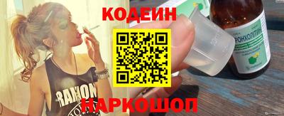 индика Кулебаки