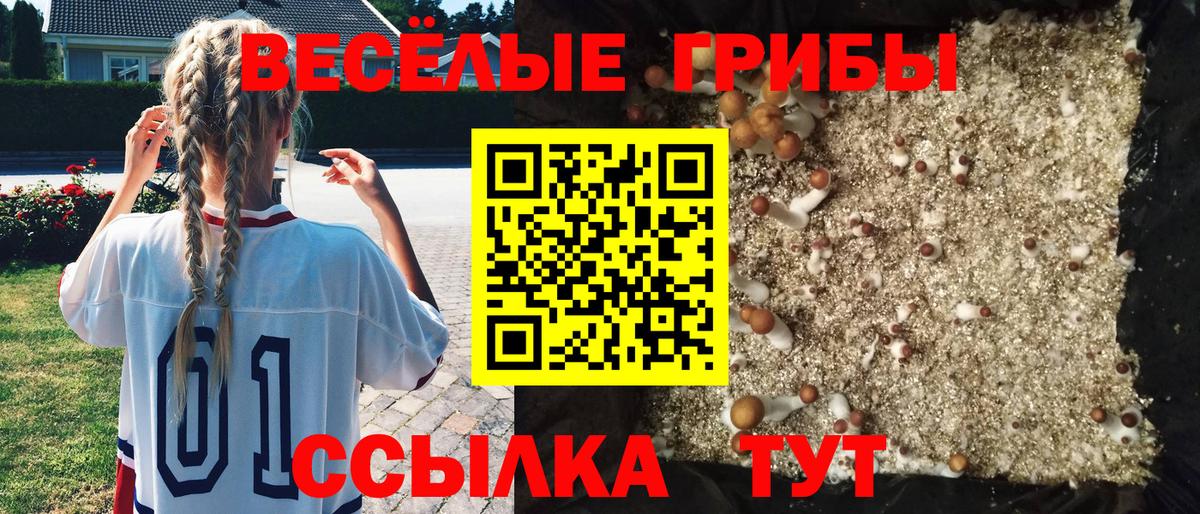 Галлюциногенные грибы Magic Shrooms Ковров